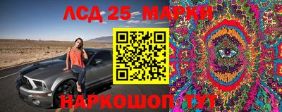 ECSTASY Будённовск